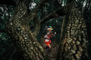 BIB: 
                            <button type="button" onclick="openModal(25685502)" class="btn btn-primary btn-sm float-right btn-popup" data-toggle="modal" data-target=".modal-high-quality">
                        <i class="fas fa-shopping-cart"></i> Add to Cart
                    </button>
                                            <button type="button" onclick="isThisMe(25685502, true)" class="btn btn-success btn-sm float-right btn-popup btn-isme hidden" data-toggle="tooltip" data-placement="bottom" title="นี่คือรูปของคุณใช่ไหม คลิกที่นี่เพื่อเอาเข้าอัลบั้ม">
                        <i class="fas fa-plus"></i> Add to album
                    </button>
                    <button type="button" onclick="isThisMe(25685502, false)" class="btn btn-warning btn-sm float-right btn-popup btn-isnotme hidden">
                        <i class="fas fa-ban"></i> Remove from album
                    </button>